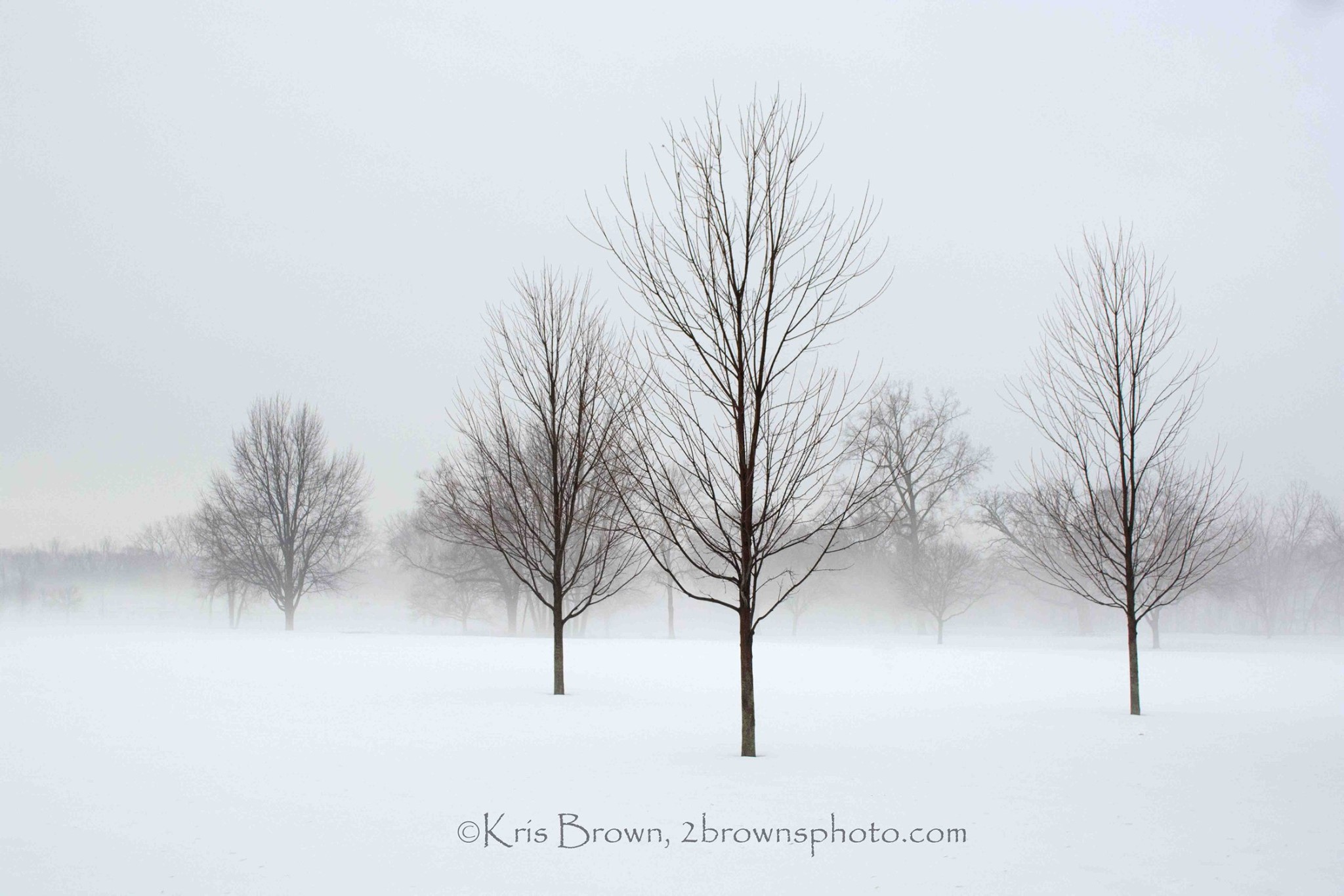 RS21980 Winter Fog at Riverside Park-Kris Brown-photo courtesy of artist