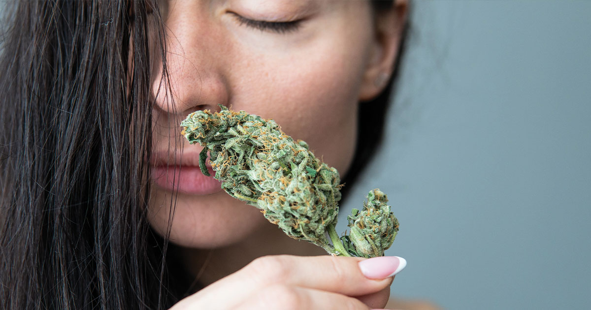 Cannabis and Intimacy: Are They Connected?