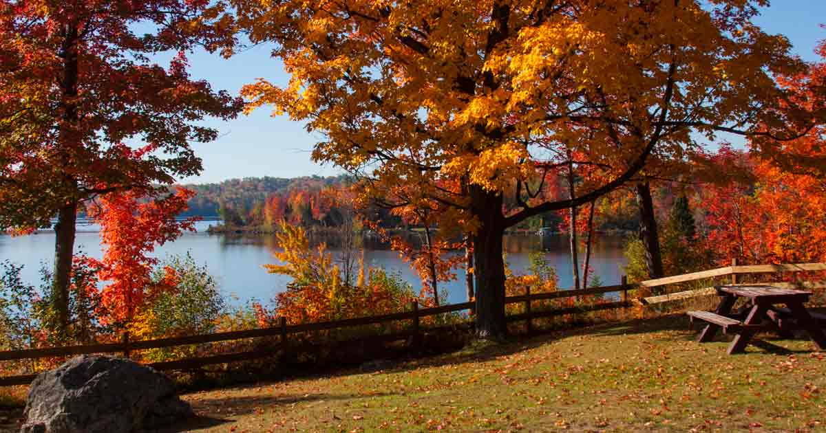 frolic-in-fall-foliage-Marquette