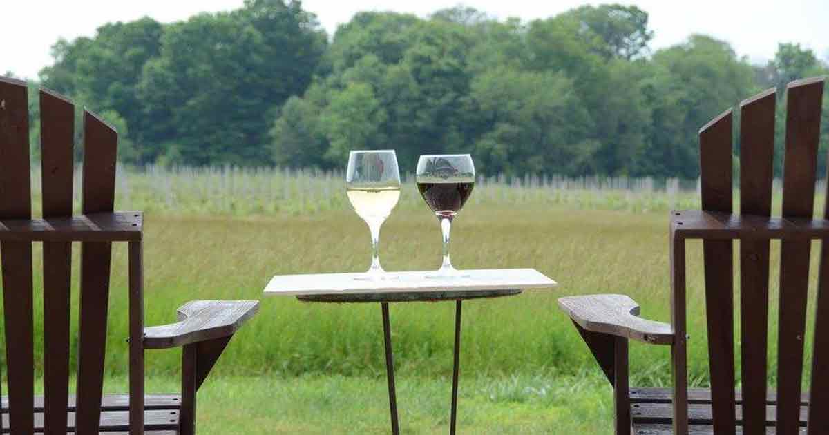 michigan-weekends-WineTrail