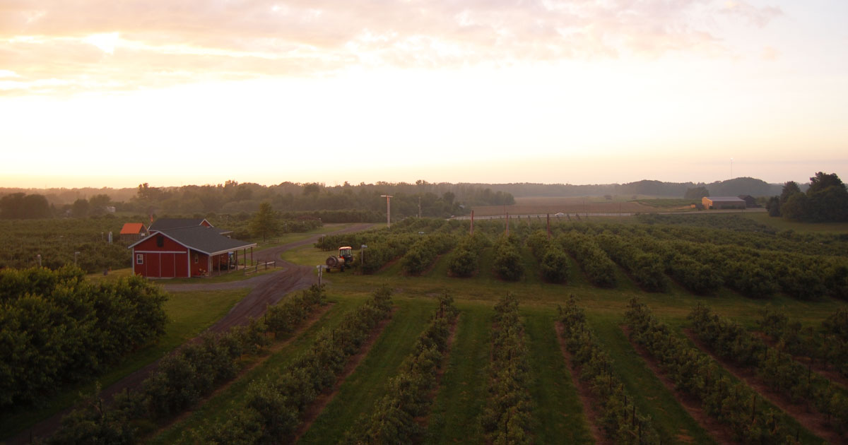 west-michigan-orchards-web