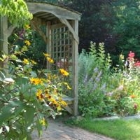 Finding the Perfect (Garden) Mix