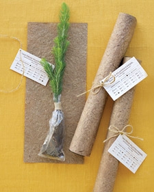 Entertain Your Guests and Nature