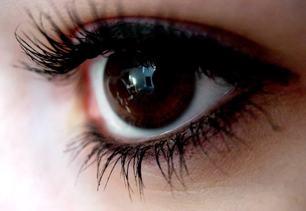 Mascara Wars
