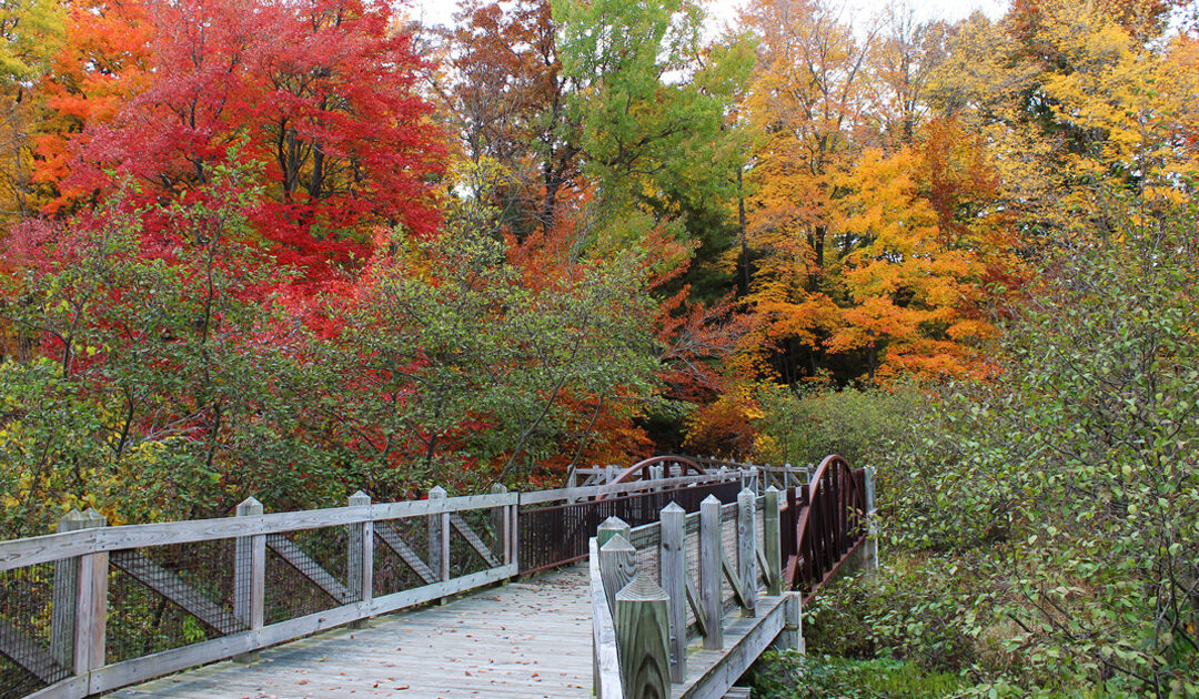 Fall for Ottawa County Parks!