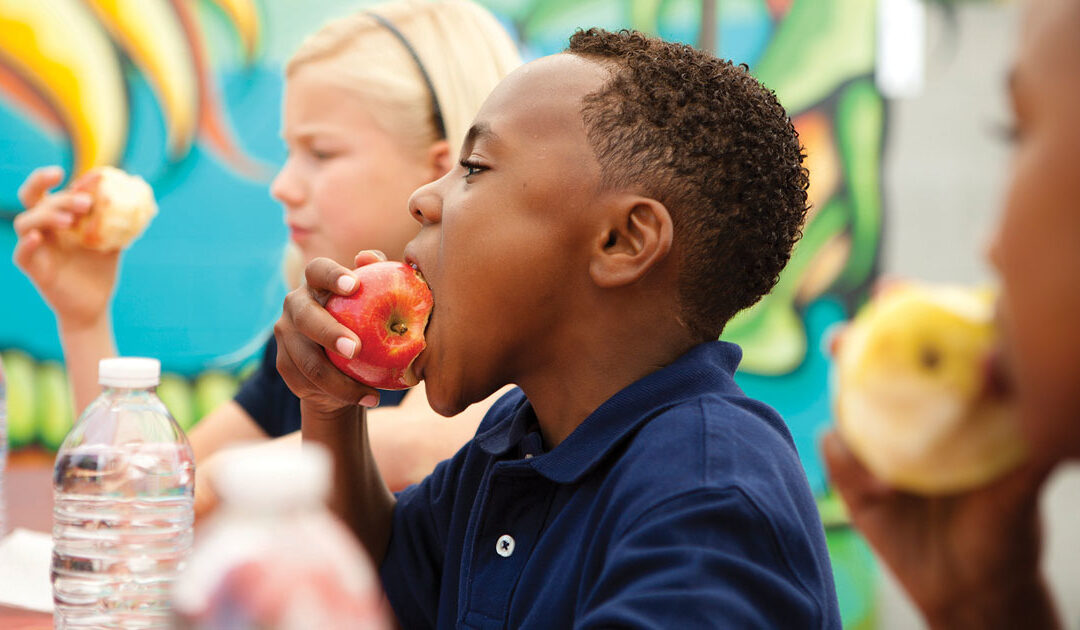 Healthy Changes for the Overweight Child