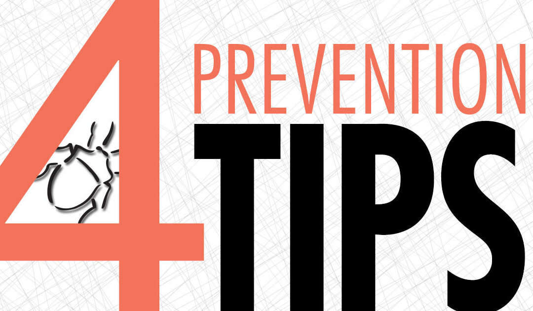 4 Tips to Prevent Bed Bugs