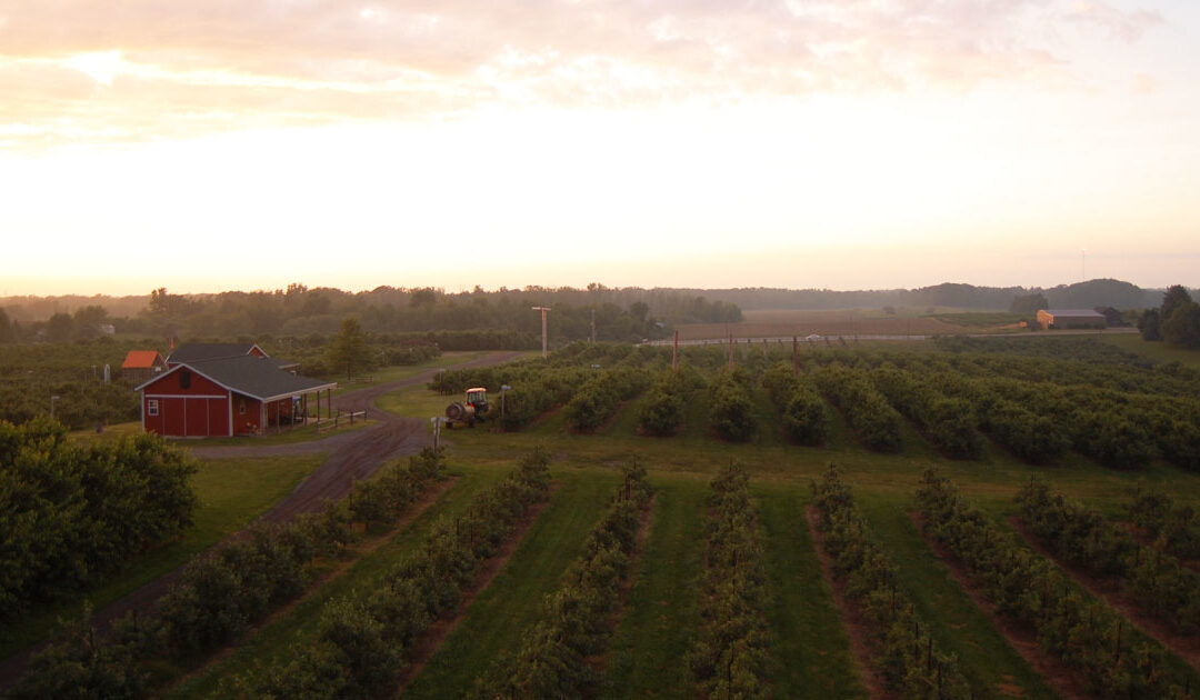 Visit West Michigan’s Orchards