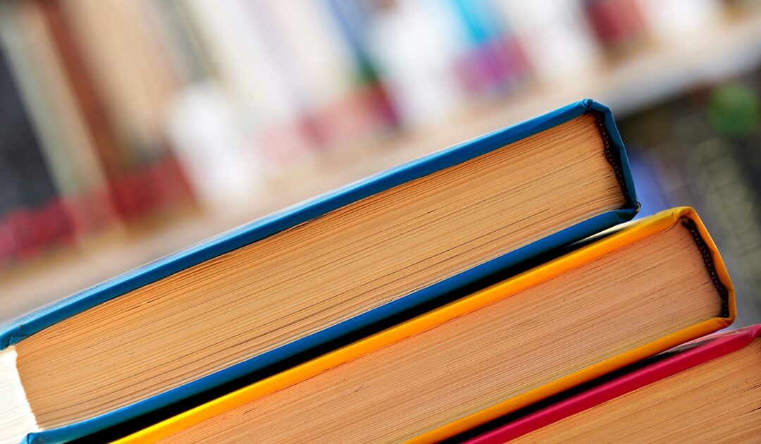 Spring Lake Hosts Holiday Book Bash