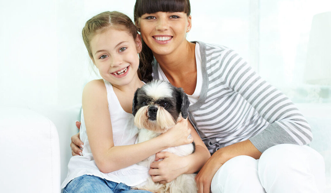 Great News for West Michigan Pets: Record Adoption Numbers!