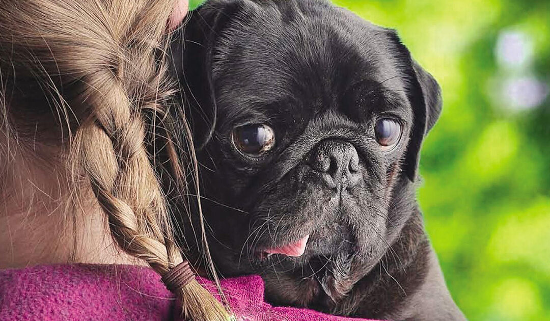 The Amazing Healing Power of a Dog