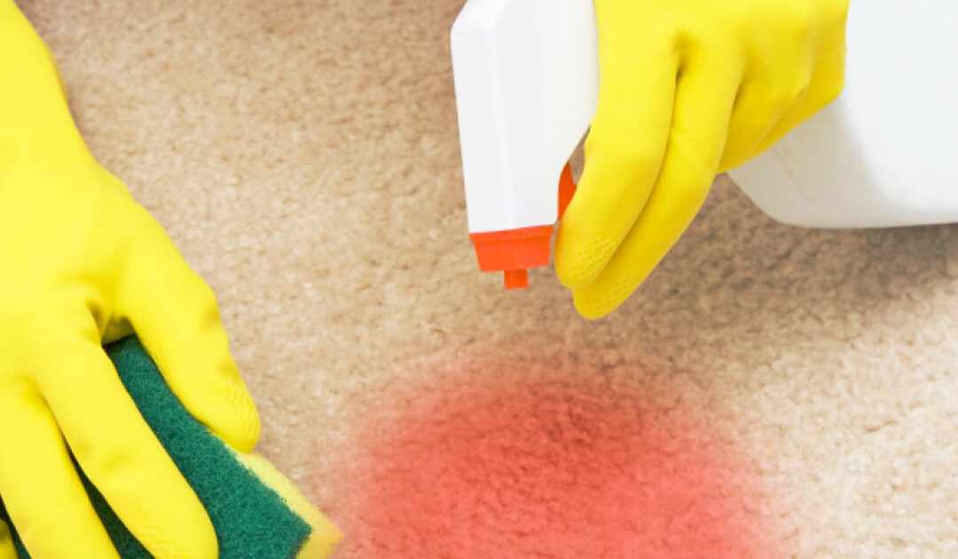 A Stain Removal App!