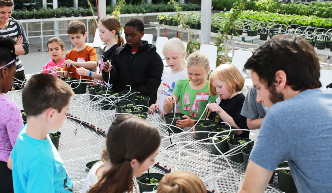 Summer “Simmer” Camp for Kids