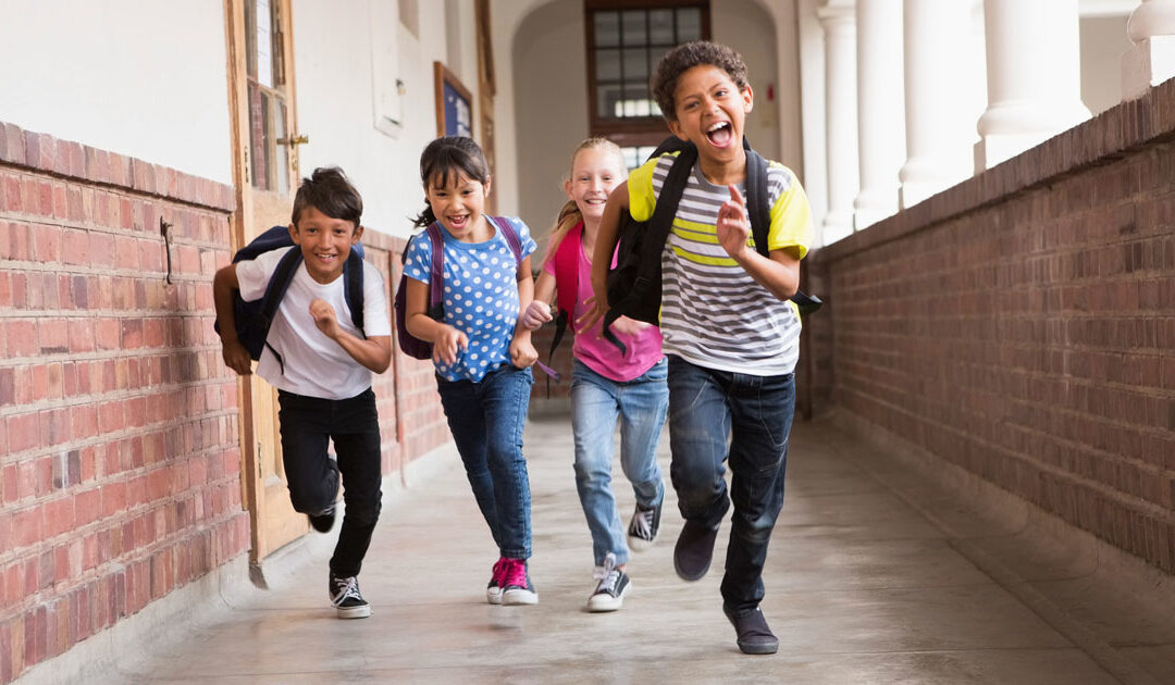 The Back to School Shuffle