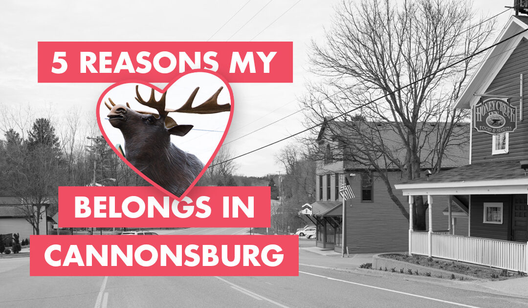 5 Reasons My Heart Belongs in Cannonsburg