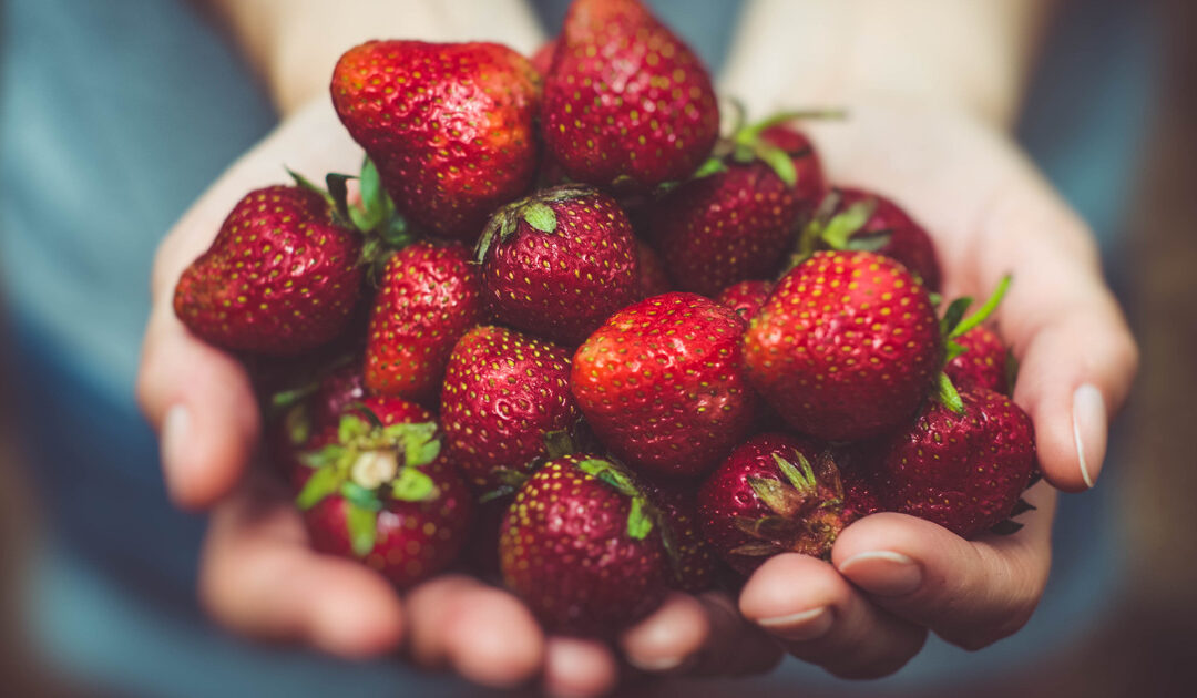 It’s Strawberry Season!