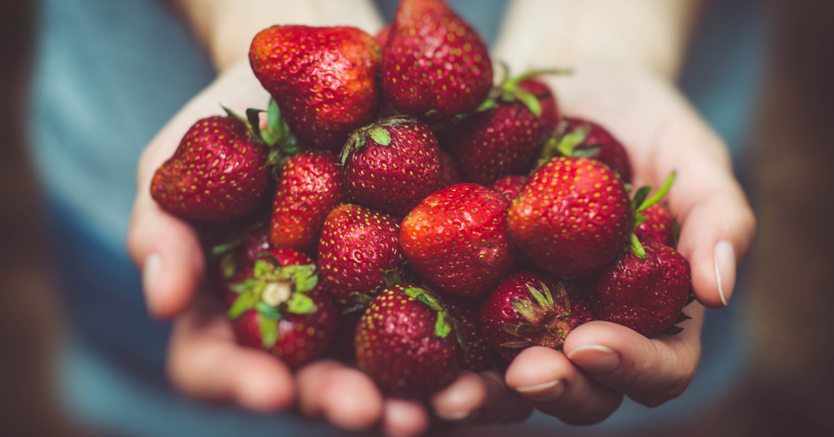 It’s Strawberry Season!