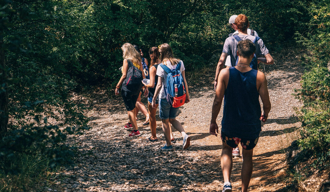 Let’s Talk About Ticks