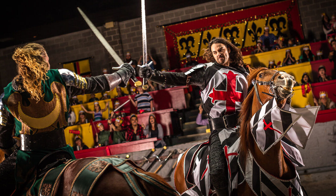 A Joust Cause
