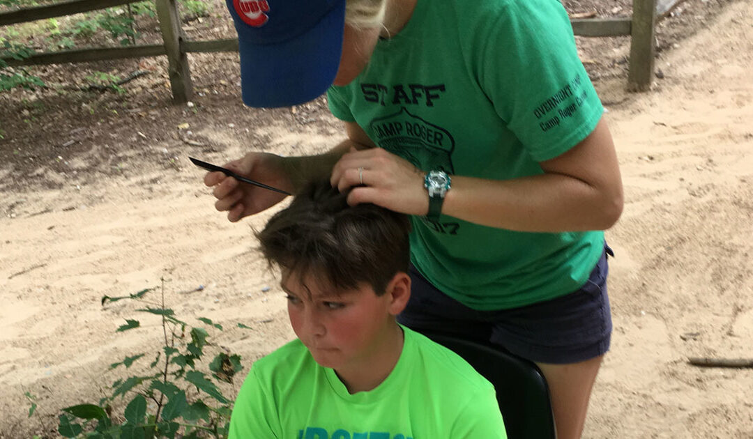 Lice Lessons
