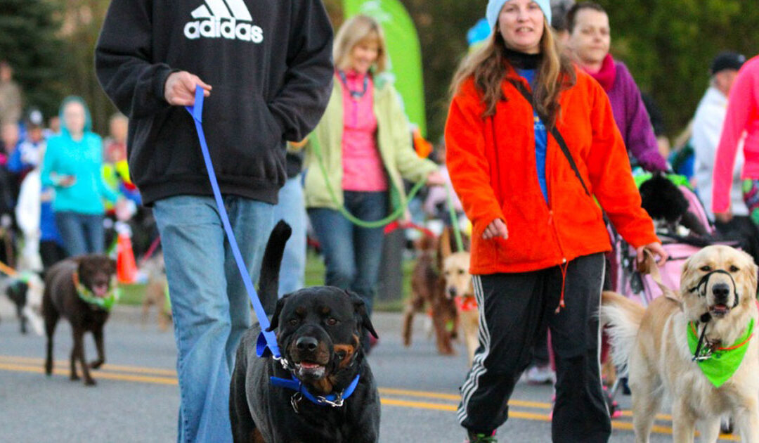 Raise the Woof at Bark in the Dark