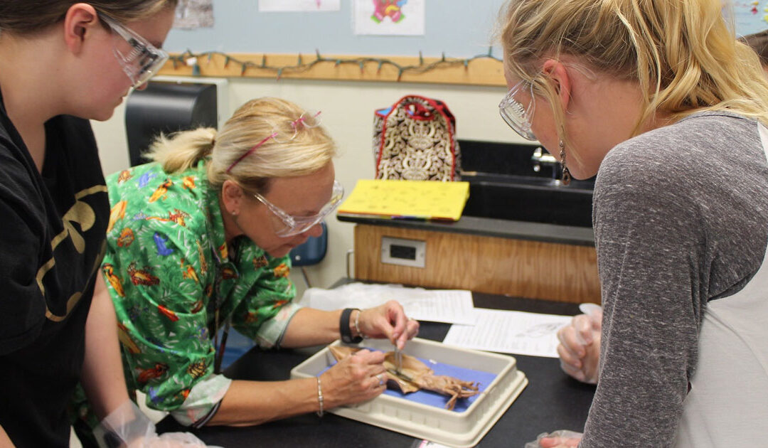 Problems Female STEM Students Face