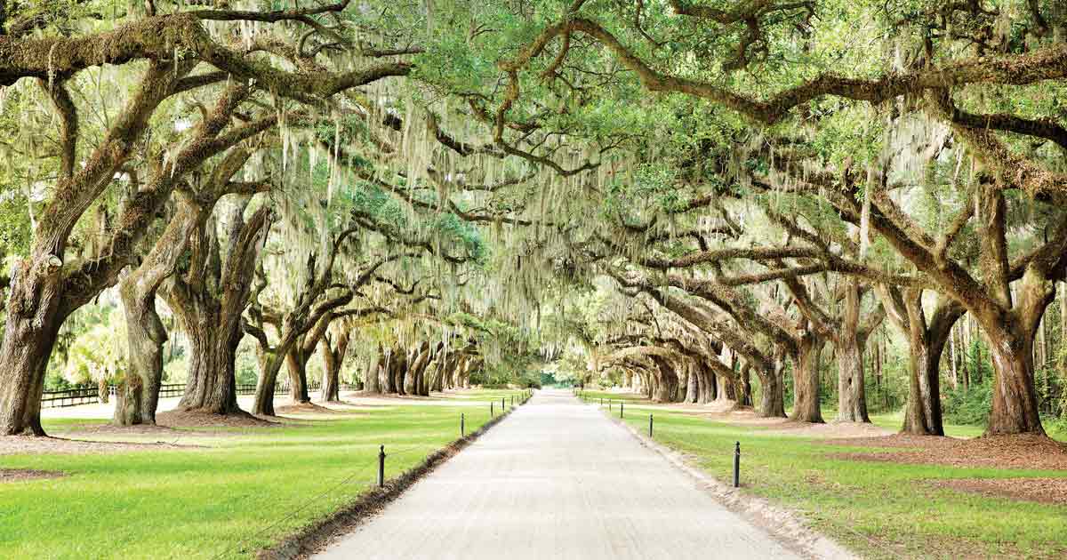 beating-the-winter-blues-Charleston