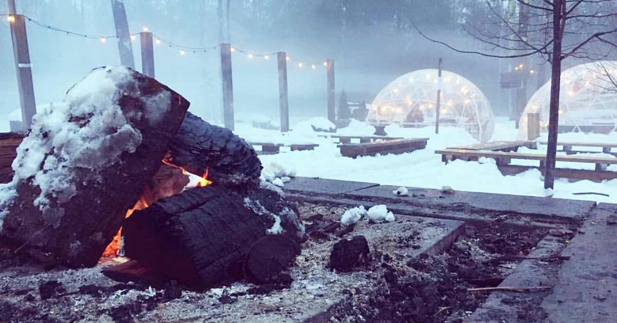 stay-cozy-enews