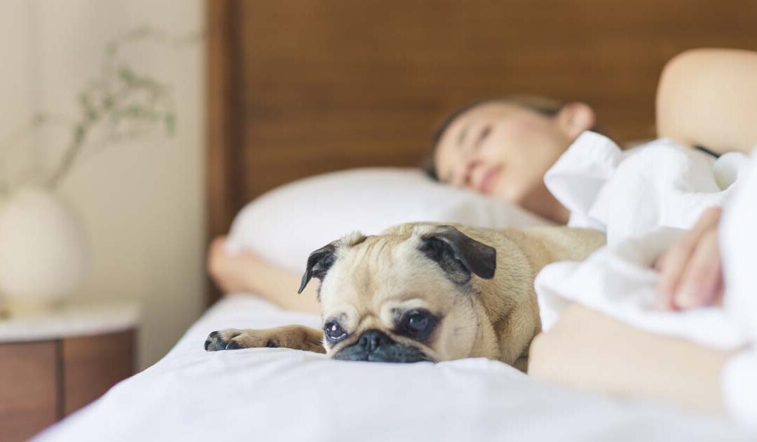 Improve Your Sleep, Improve Your Health.
