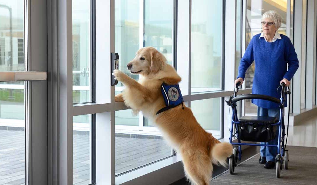 Paws With A Cause: 40 Years of Success