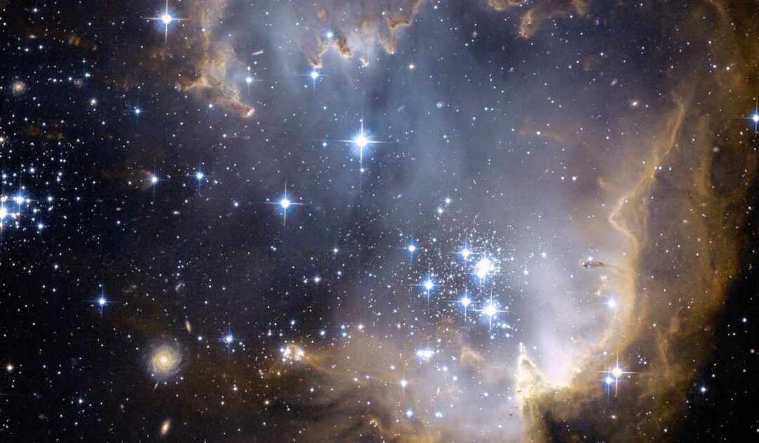 Treat Yourself to Music Under the Stars