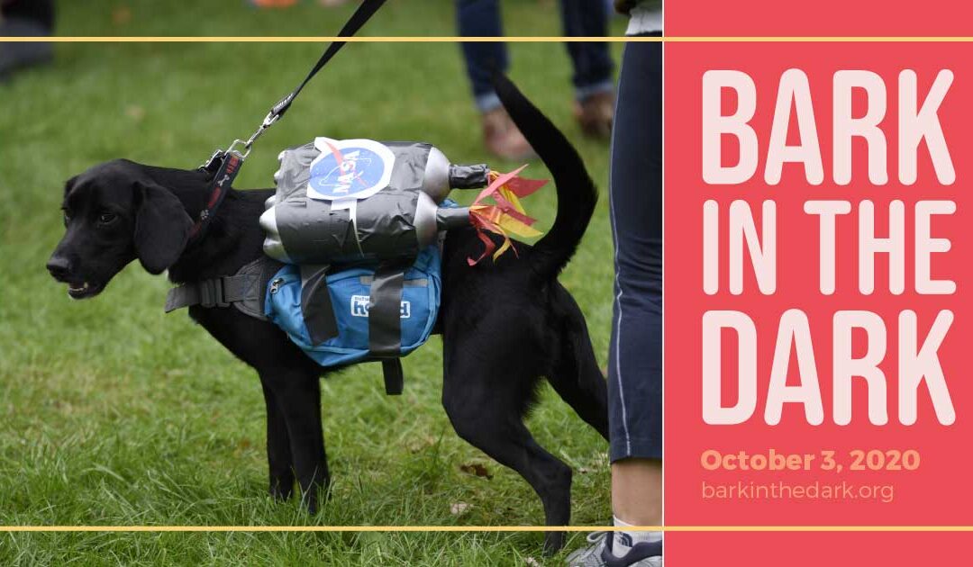 Staying Pawsitive for a Good Cause