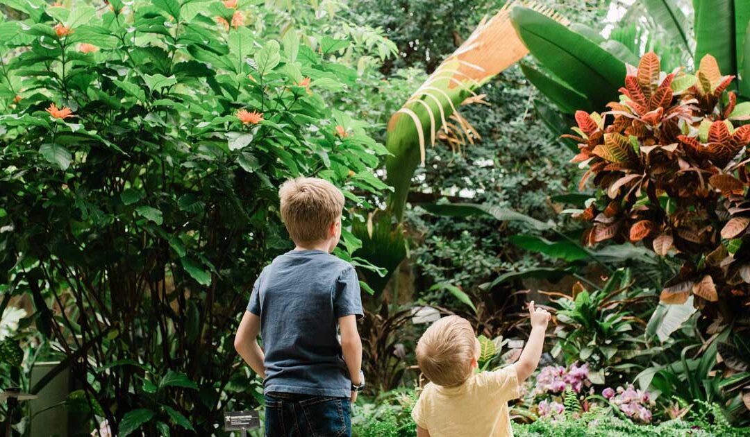 Enjoy Blooming Butterflies at Frederik Meijer Gardens & Sculpture Park