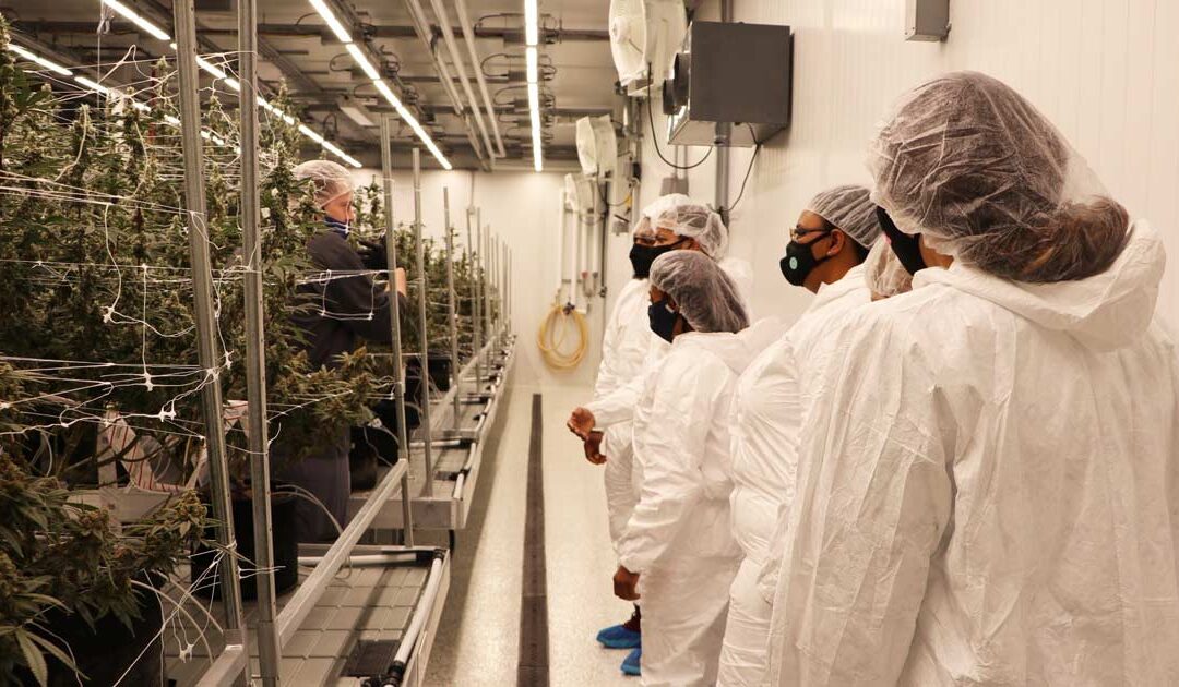 Fostering the Next Generation of Diverse Cannabis Industry Leaders