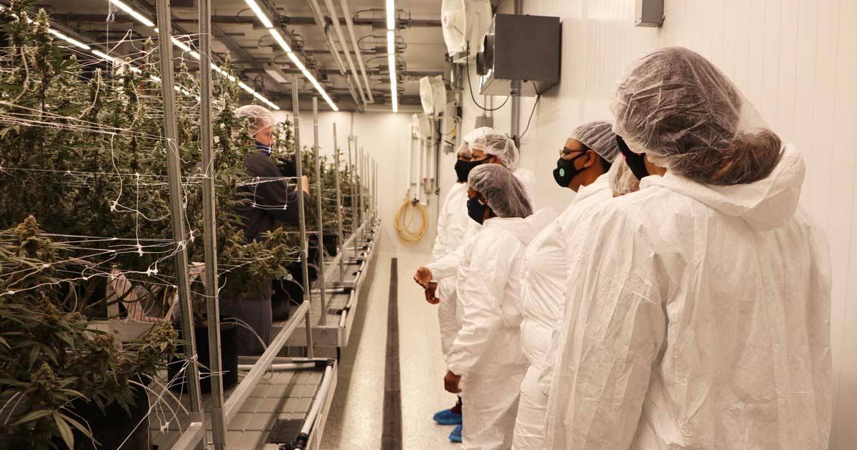 diverse-cannabis-industry-leaders-enews