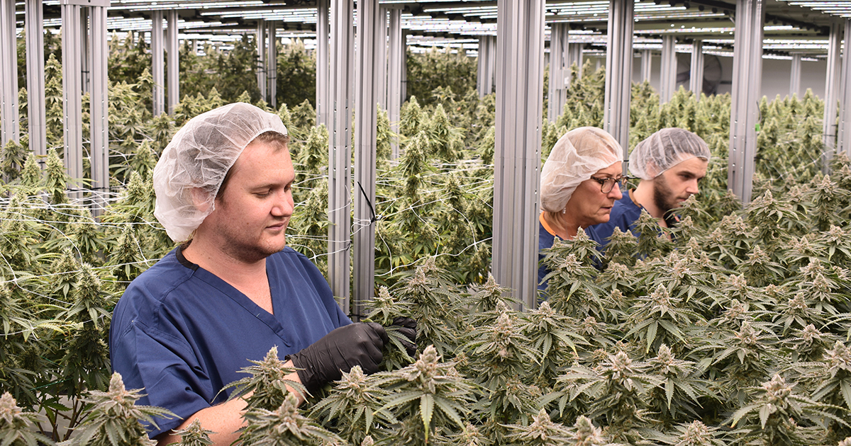 WMW-rair-eNews