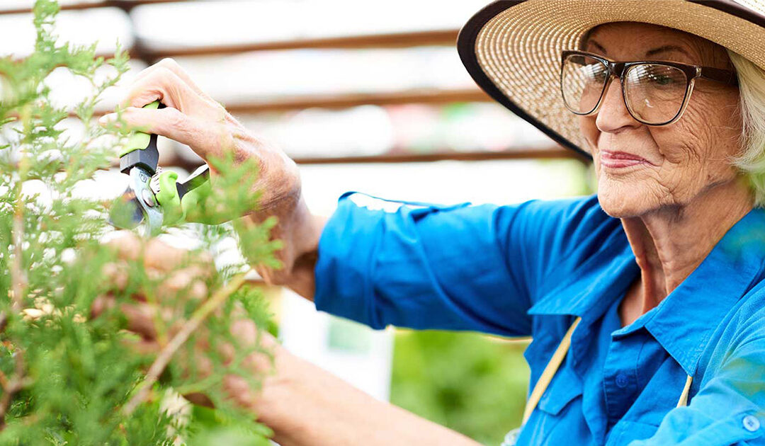 The Important Benefits of Life Enrichment