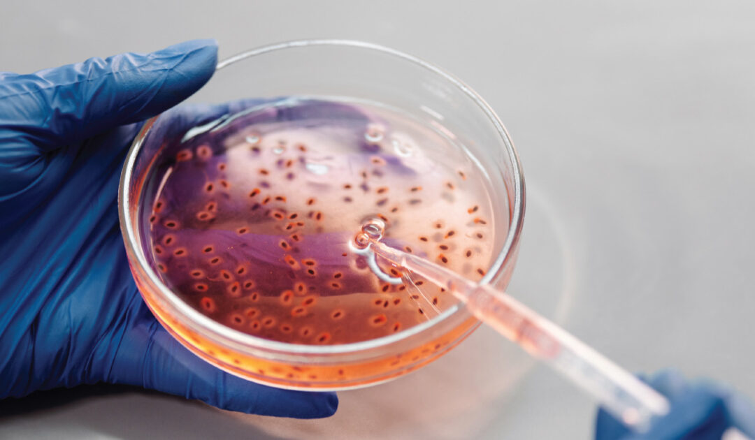 Harnessing the Power of Genetic Testing
