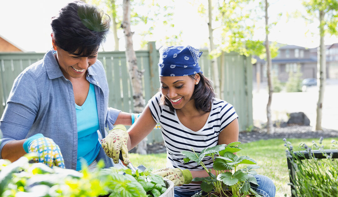 Make It a Garden of Delight, Not Danger