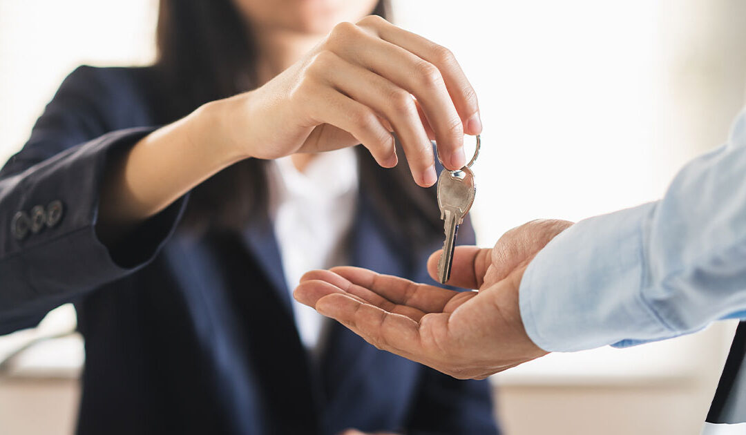 Who Should You Choose to Execute Your Estate?