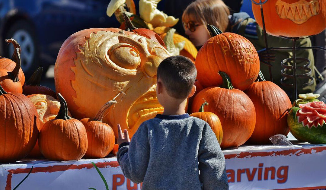 Welcome Autumn with the 2022 Holland Fall Fest