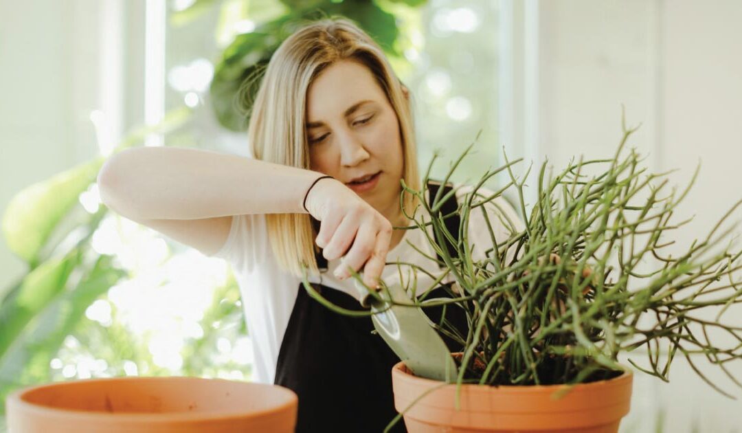 Can Houseplants Help Fight the Winter Blues?