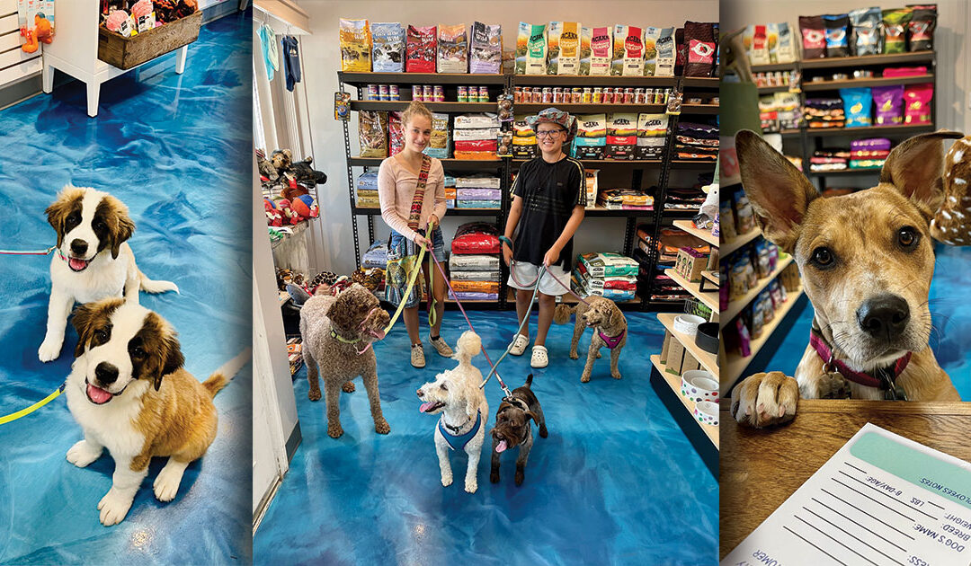 Fido & Stitch Opens Third Location in Jenison; Adds Boarding Options