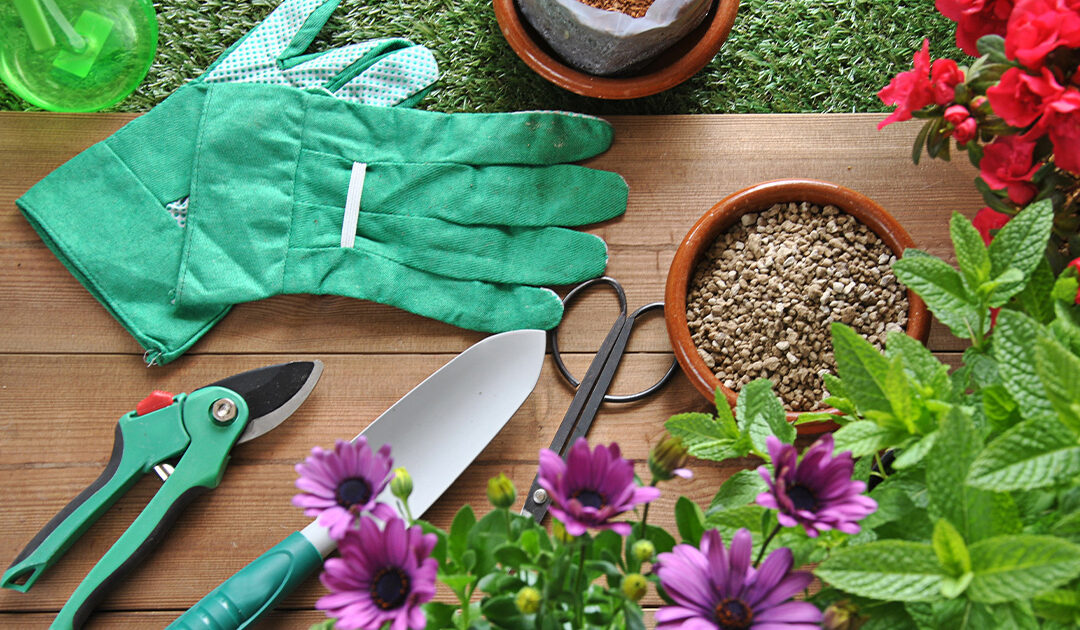 Spring Is Here. Is Your Garden Ready?