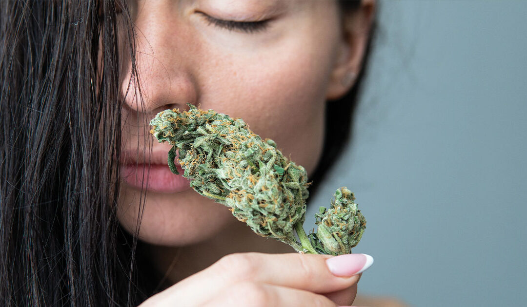 Cannabis and Intimacy: Are They Connected?