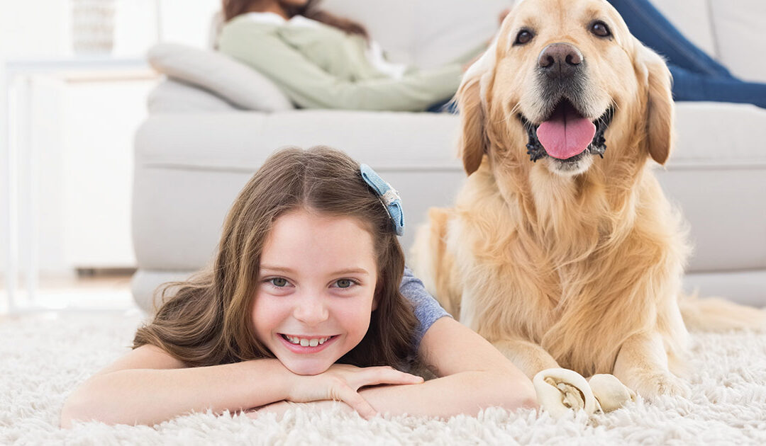 How Pet-Friendly Is Your Home?