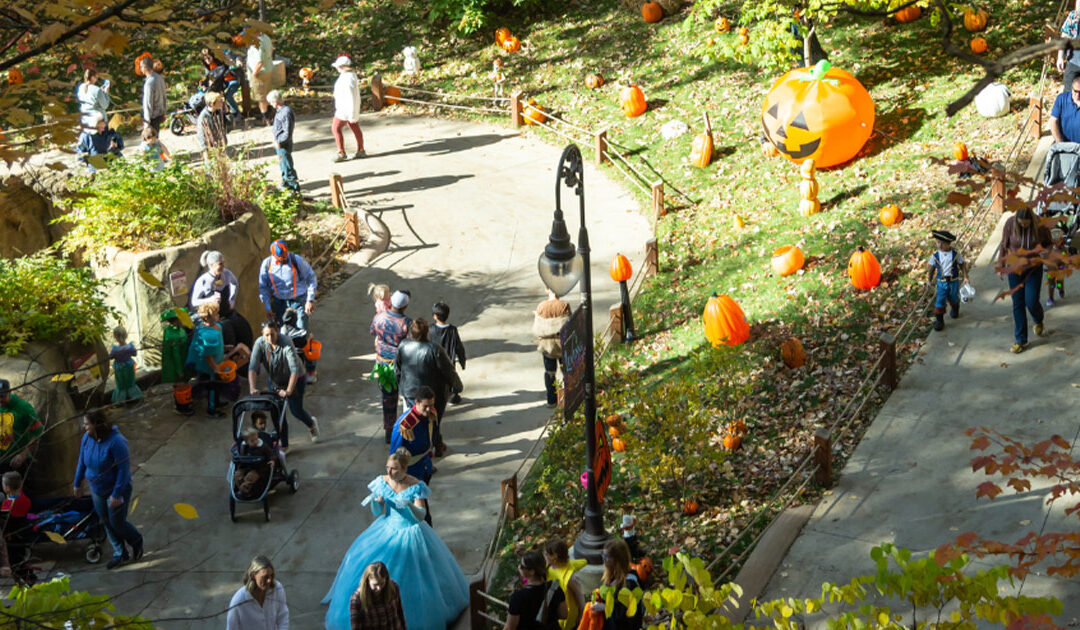 Celebrate Spooky Season with ‘Zoo Goes Boo’