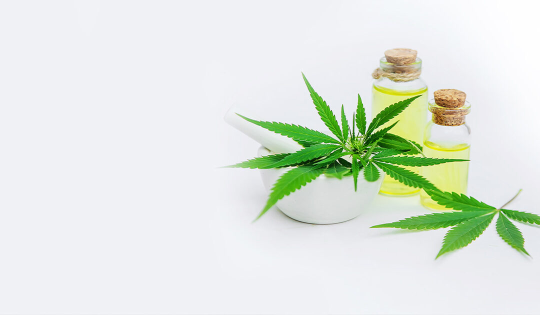 Green Gains: Cannabis and Exercise