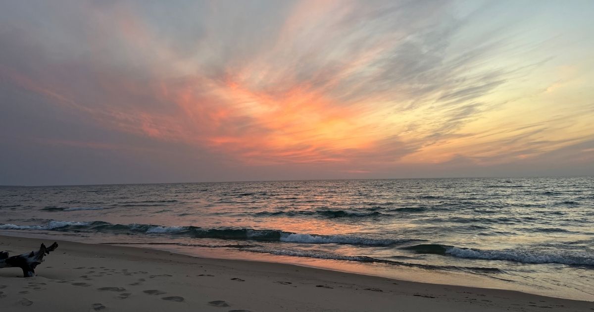 Gratitude Gratitude