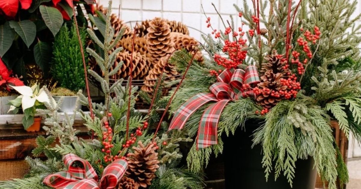 WMW-Merry-Market-eNews